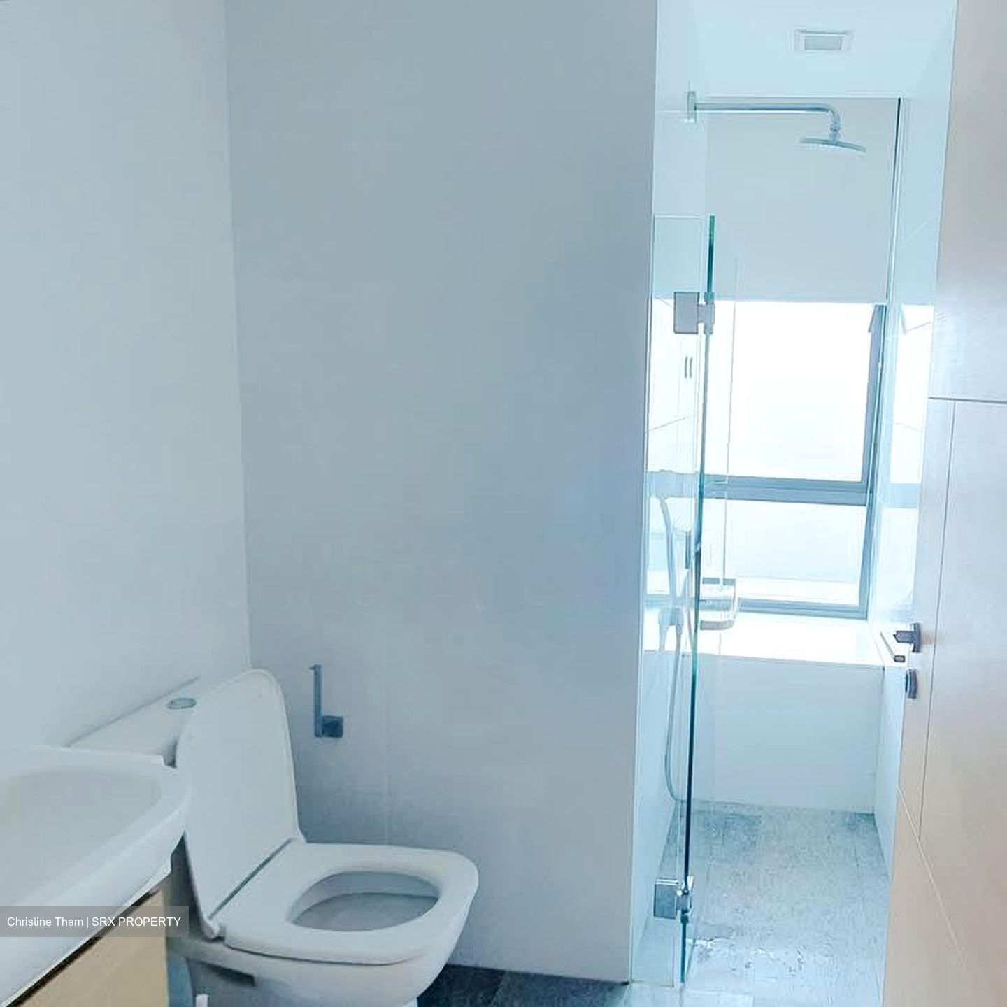 Illuminaire On Devonshire (D9), Apartment #566135471